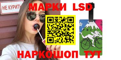 индика Обнинск