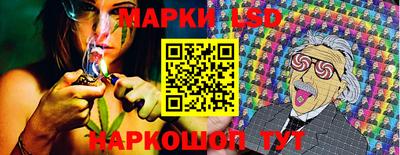 индика Обнинск