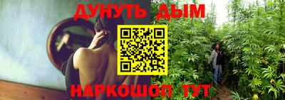 индика Обнинск