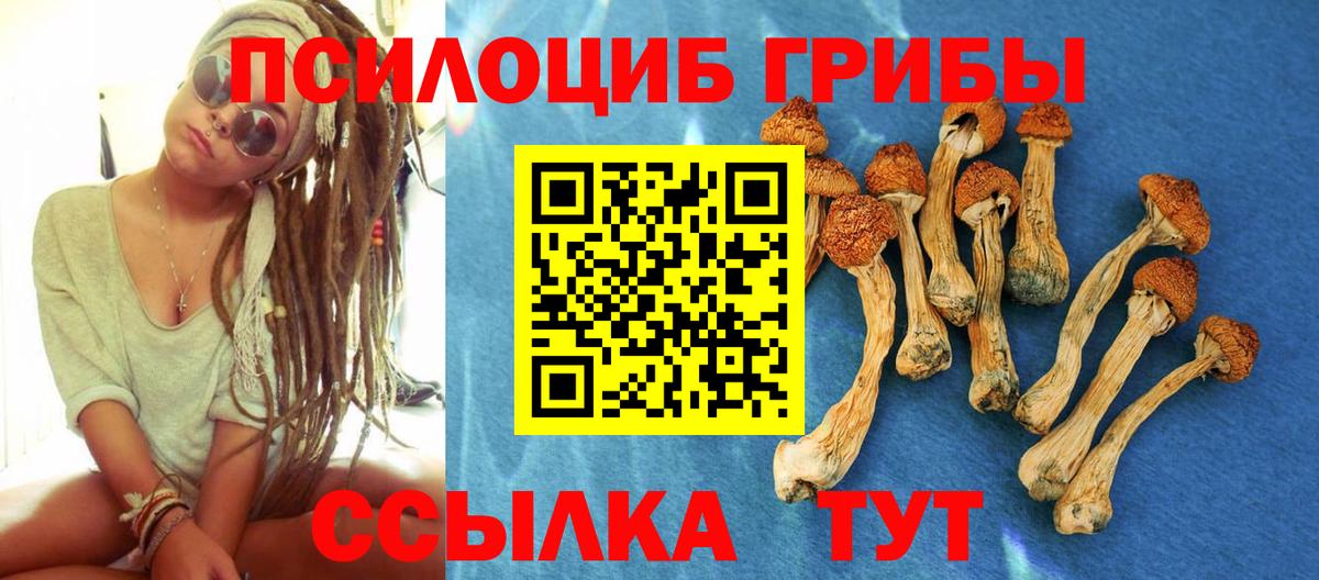 Псилоцибиновые грибы Psilocybine cubensis Сочи